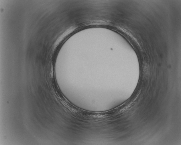 X0000066941317200604211740