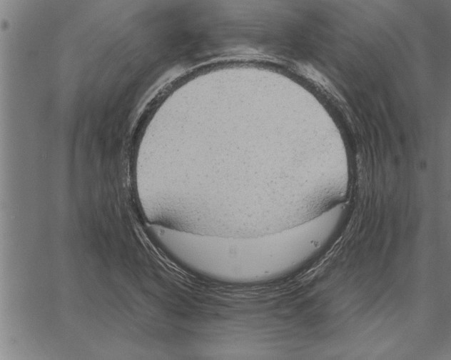 X0000066941318200604211740