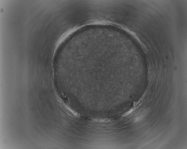 X0000066941319200604211740