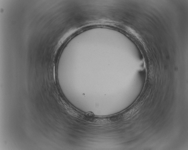 X0000066941320200604211740