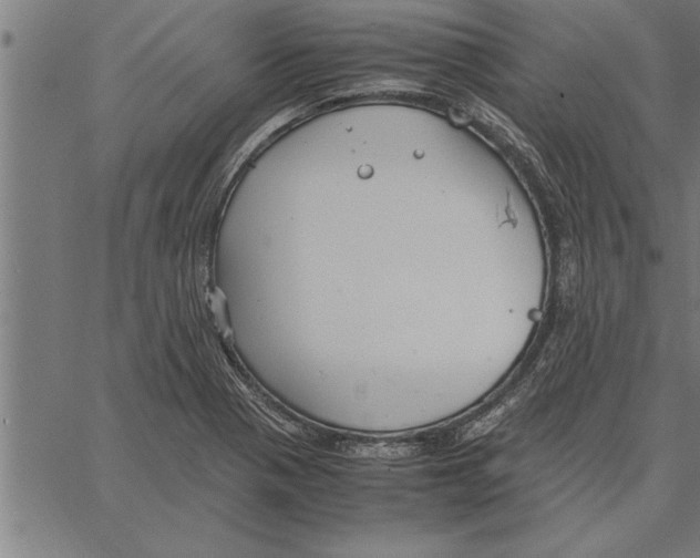 X0000066941321200604211740