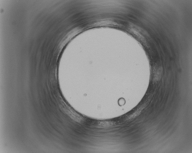 X0000066941322200604211740