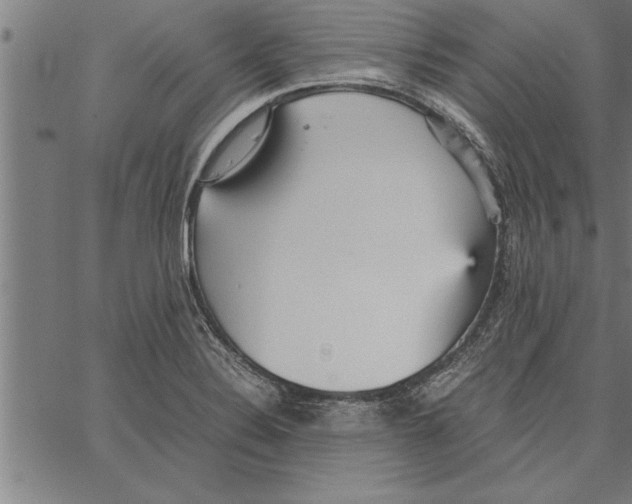 X0000066941324200604211740