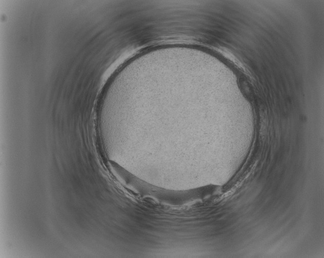 X0000066941325200604211740