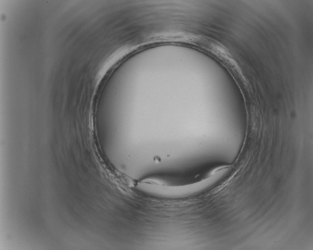 X0000066941328200604211740