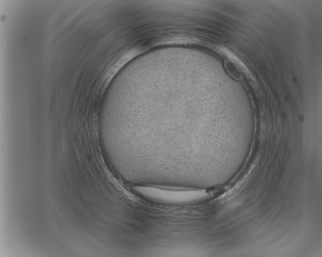 X0000066941329200604211740