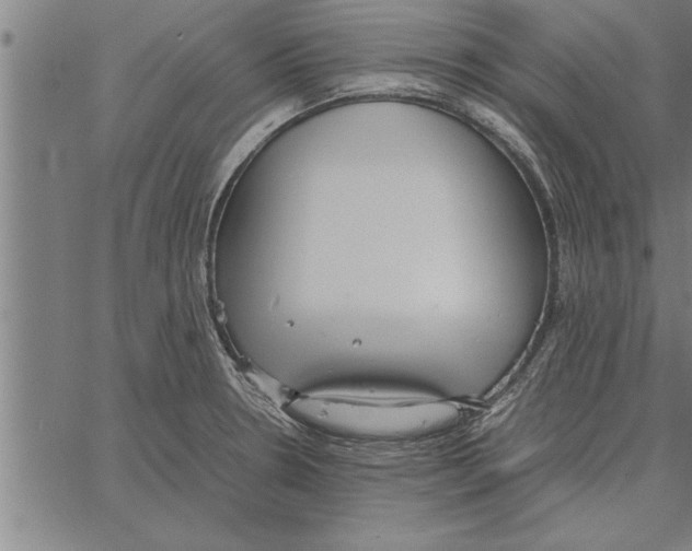 X0000066941330200604211740