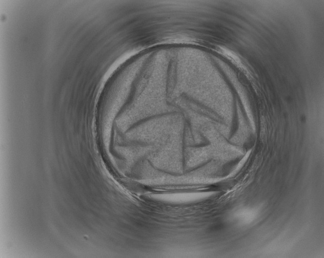 X0000066941331200604211740