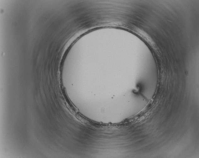 X0000066941332200604211740