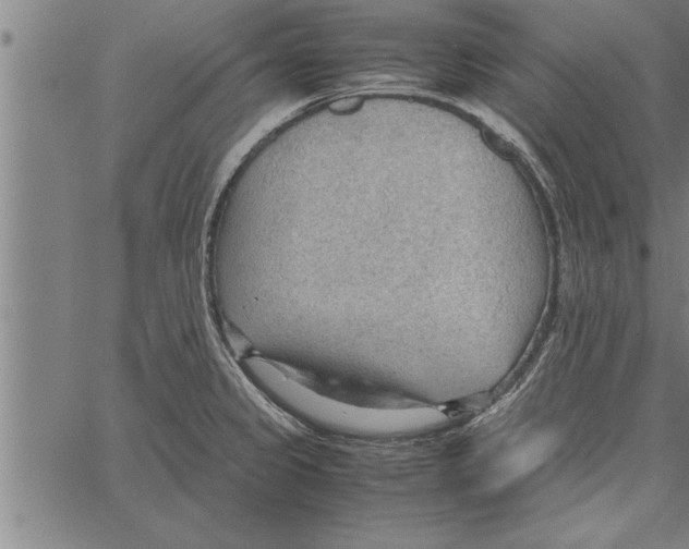 X0000066941333200604211740