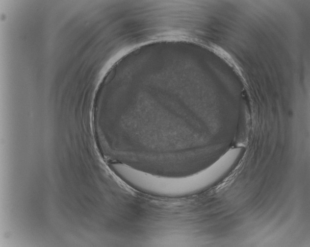 X0000066941334200604211740