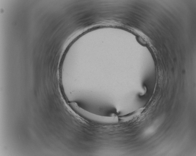 X0000066941335200604211740