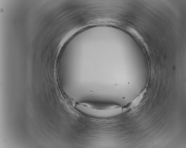 X0000066941336200604211740