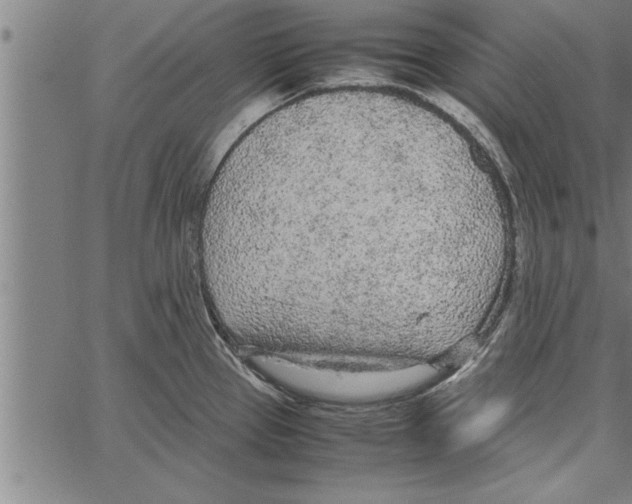 X0000066941337200604211740