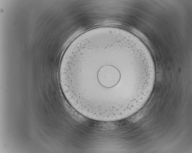 X0000066941338200604211740