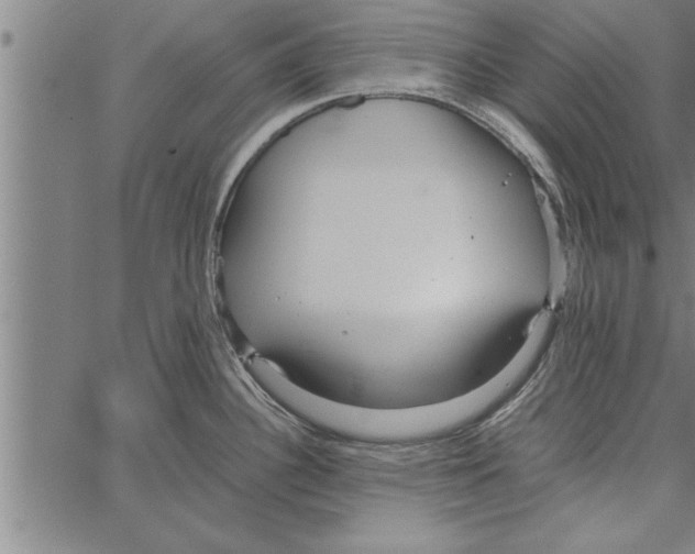 X0000066941340200604211740