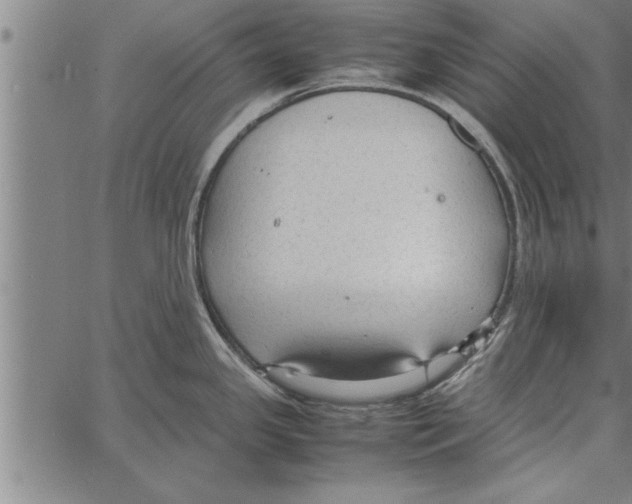 X0000066941341200604211740