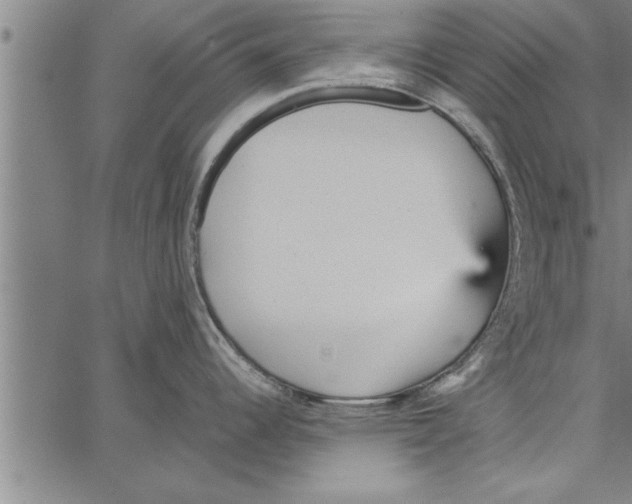 X0000066941344200604211740