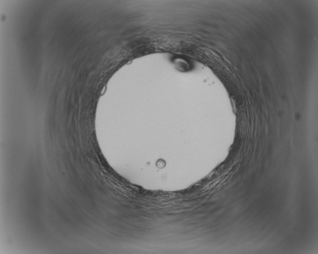 X0000066941345200604211739