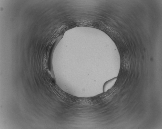 X0000066941346200604211739