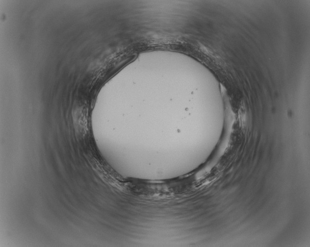 X0000066941348200604211739