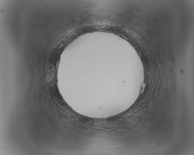 X0000066941349200604211739