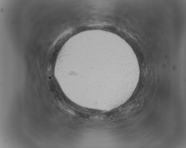 X0000066941351200604211739