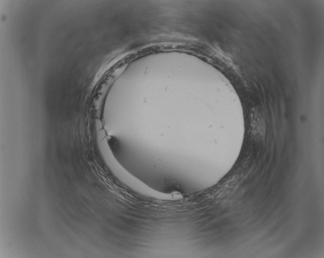 X0000066941352200604211739