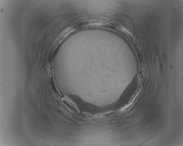 X0000066941353200604211739