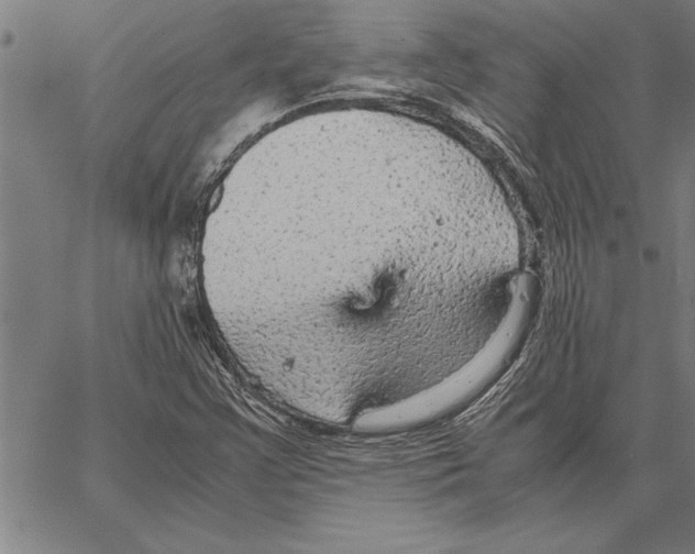 X0000066941355200604211739