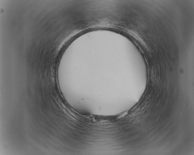 X0000066941356200604211739