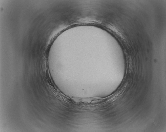 X0000066941358200604211739