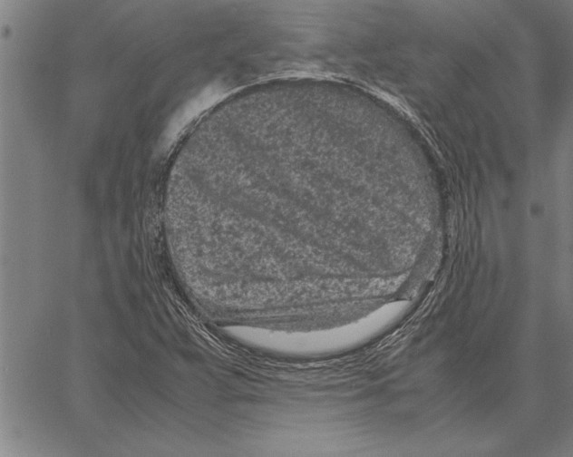 X0000066941359200604211739