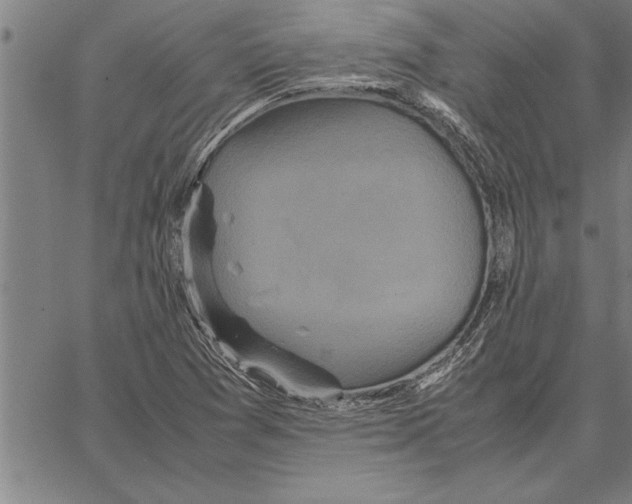 X0000066941361200604211739