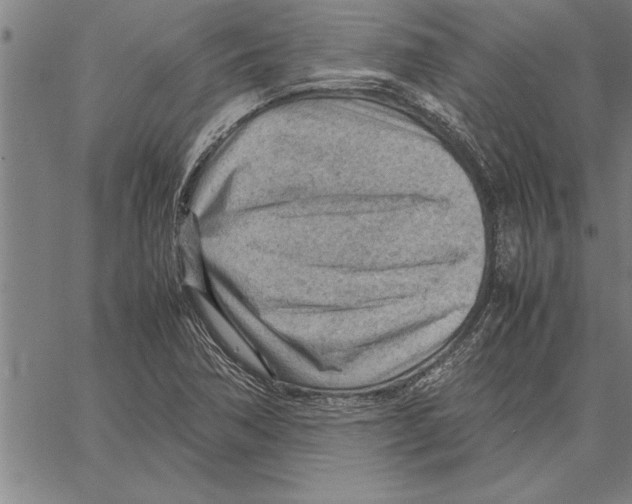 X0000066941362200604211739