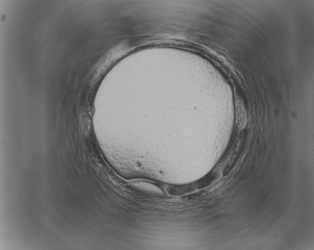 X0000066941363200604211739