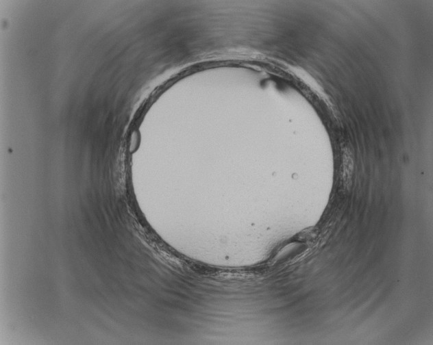 X0000066941364200604211739