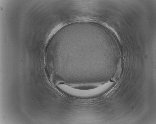 X0000066941365200604211739