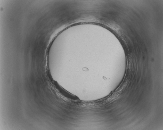 X0000066941366200604211739