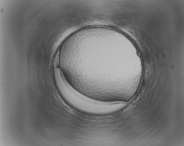 X0000066941367200604211739