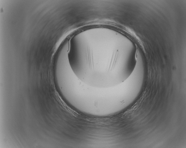 X0000066941368200604211739