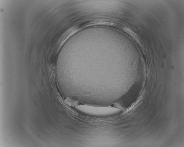 X0000066941369200604211739