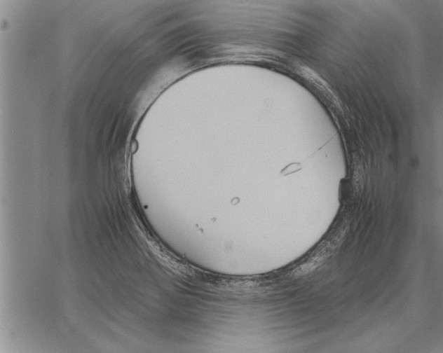 X0000066941370200604211739