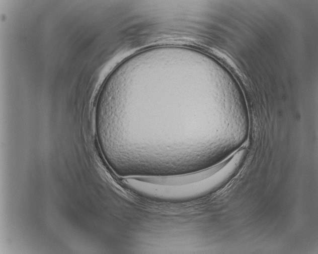 X0000066941371200604211739