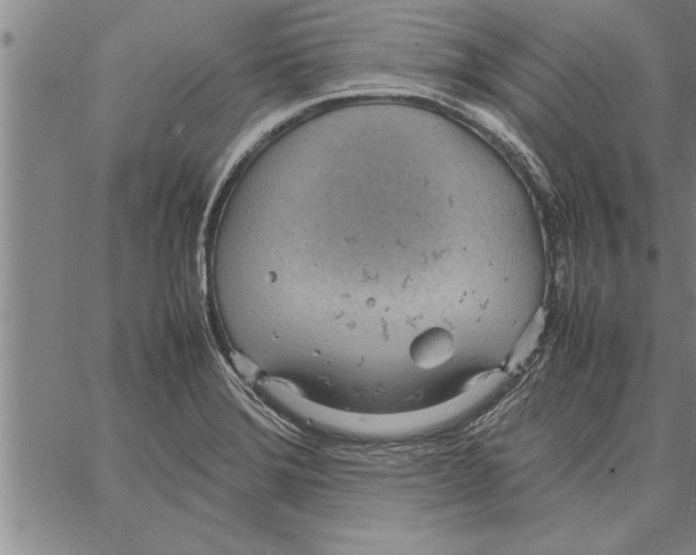 X0000066941372200604211739