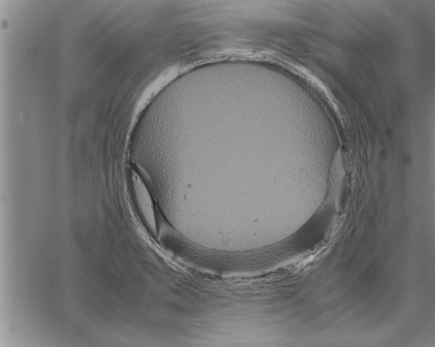 X0000066941373200604211739