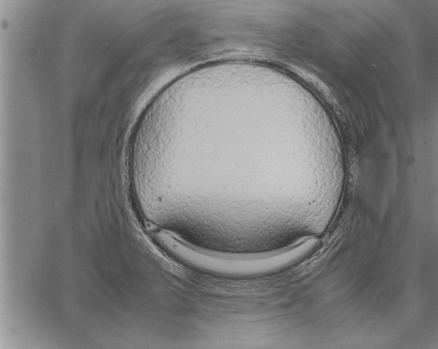 X0000066941375200604211739