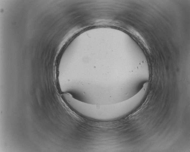 X0000066941376200604211739