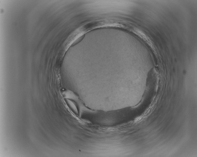 X0000066941377200604211739