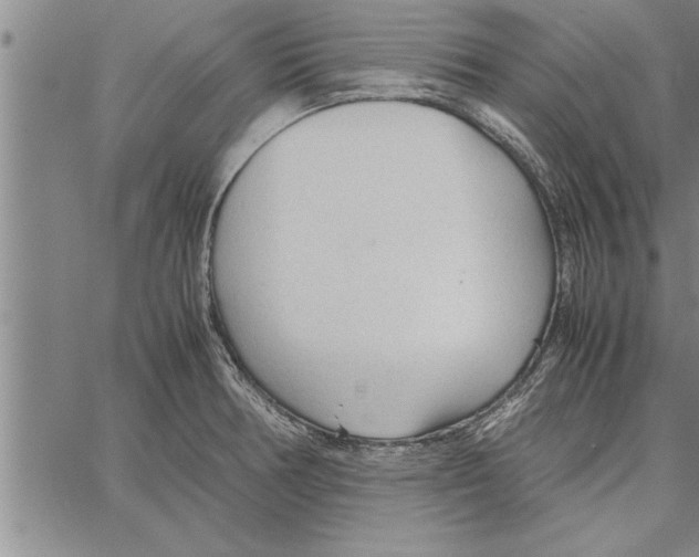 X0000066941378200604211739